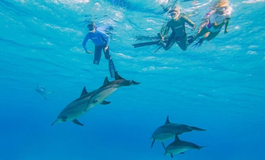 Marsa Alam Delfin Tour