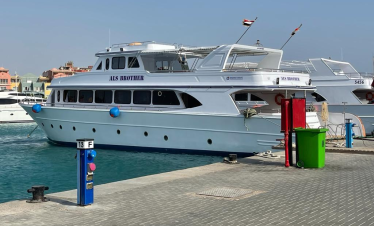 Mit Delfinen im offenen Meer in Hurghada schwimmen – wildlebende Delfine