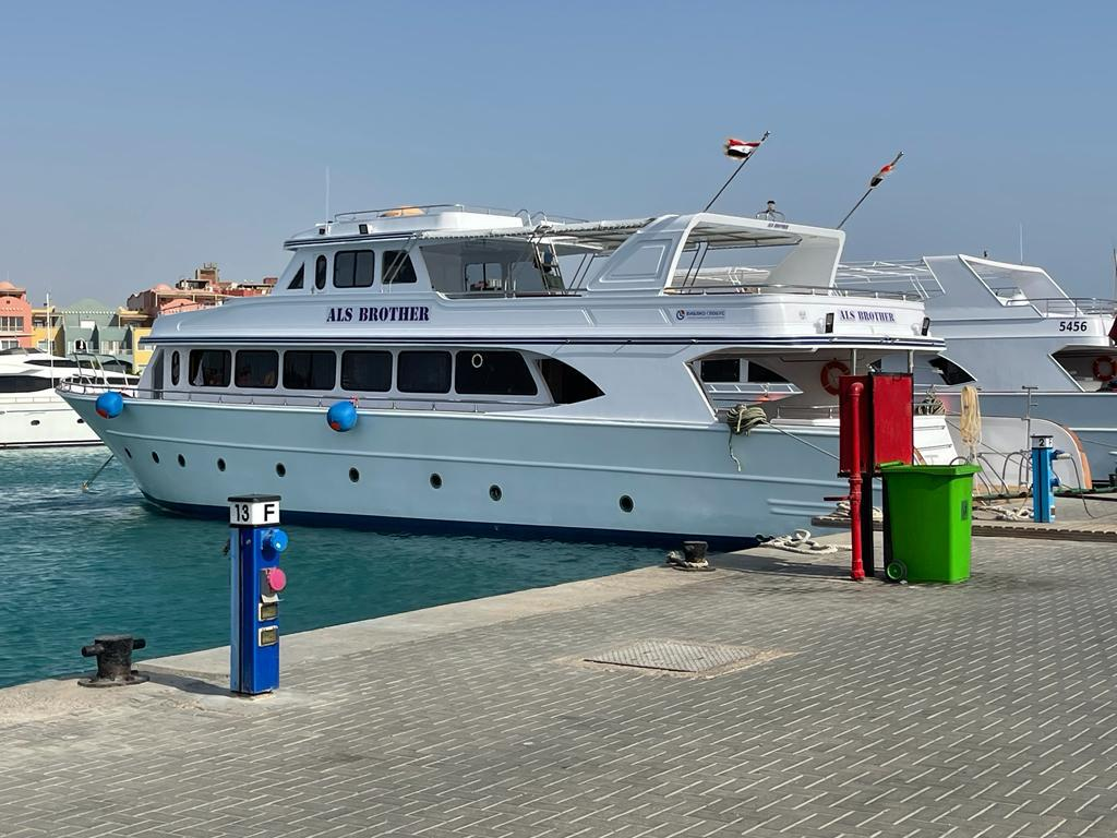 Mit Delfinen im offenen Meer in Hurghada schwimmen – wildlebende Delfine